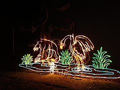 048 Toledo Zoo Light Show [2008 Dec 27]